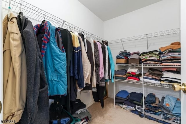 spacious closet featuring carpet flooring