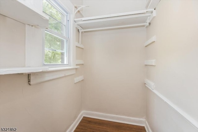 spacious closet featuring dark hardwood / wood-style flooring