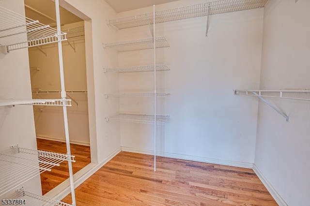 walk in closet featuring wood finished floors