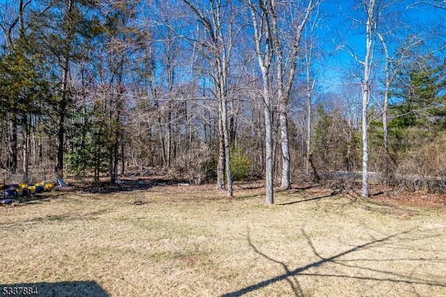 view of yard featuring a view of trees