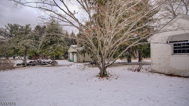 view of yard covered in snow