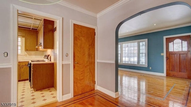 entrance foyer with crown molding, a healthy amount of sunlight, and light hardwood / wood-style flooring