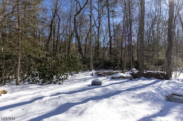 view of snowy yard