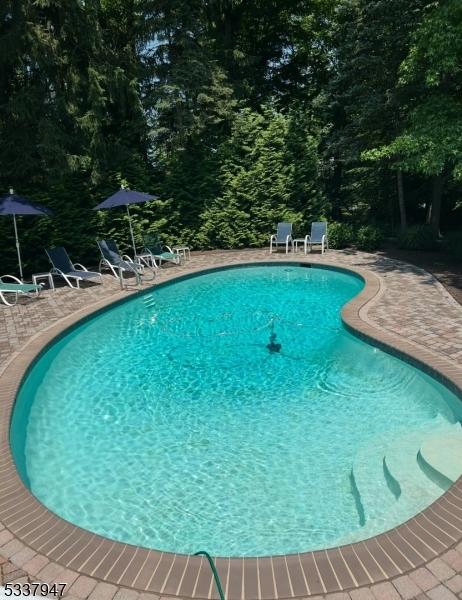 community pool featuring a patio area