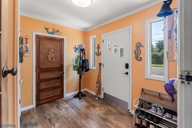 entrance foyer with ornamental molding and dark hardwood / wood-style flooring