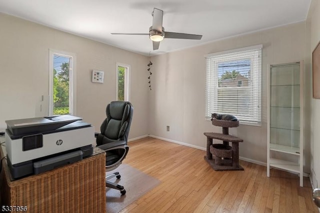 office area with light hardwood / wood-style floors and ceiling fan