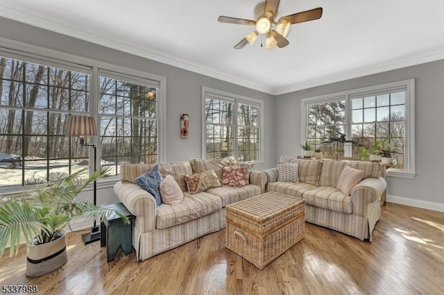 living room with ceiling fan, crown molding, baseboards, and wood finished floors