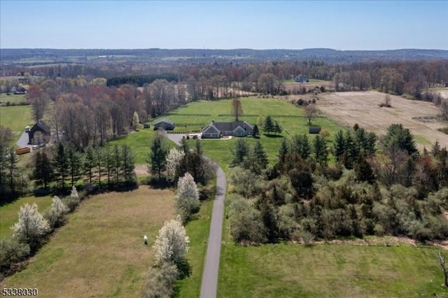 94 Brookville Hollow Rd, Delaware Twp, NJ 08559 - drone / aerial view with a rural view