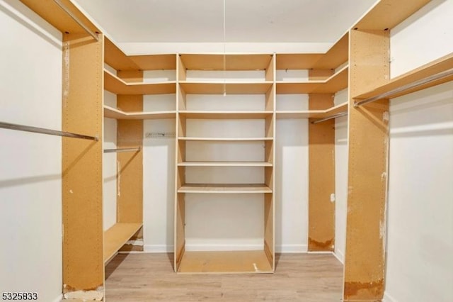 walk in closet with light wood-style floors