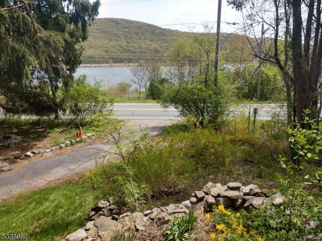 exterior space featuring a water and mountain view