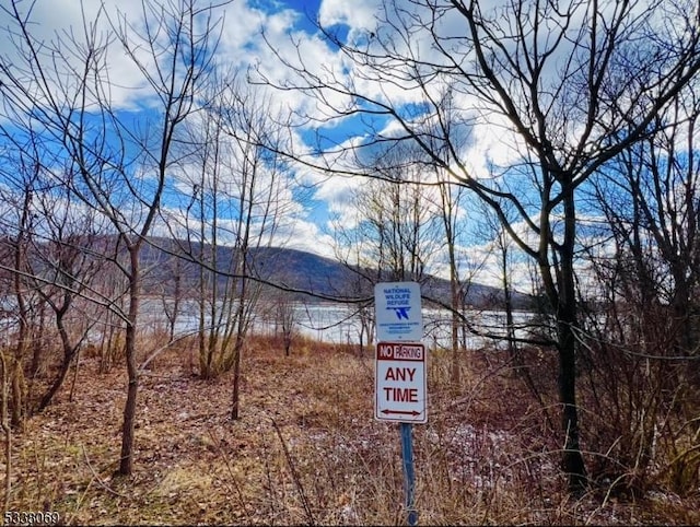 property view of water featuring a mountain view