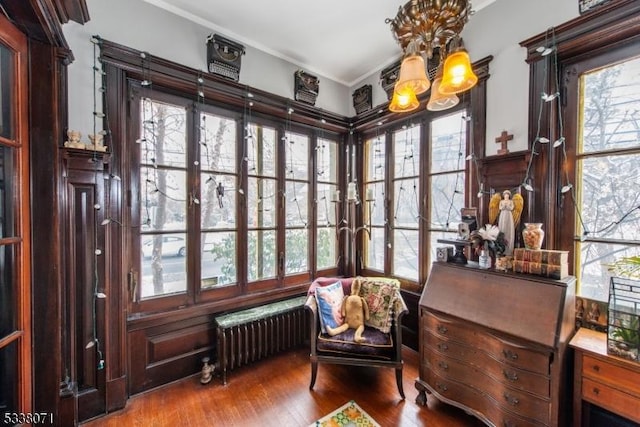 sitting room with hardwood / wood-style flooring, radiator heating unit, an inviting chandelier, and a wealth of natural light