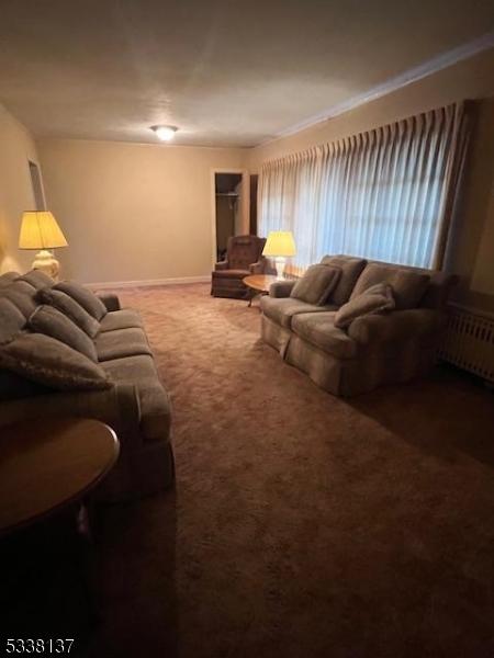 carpeted living room with radiator