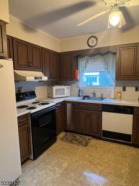 kitchen with dark brown cabinetry, sink, white appliances, ceiling fan, and crown molding