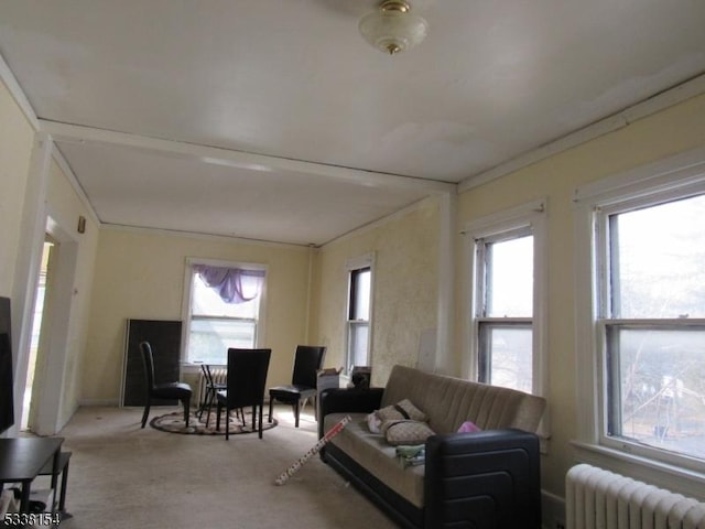 carpeted living room with a healthy amount of sunlight and radiator