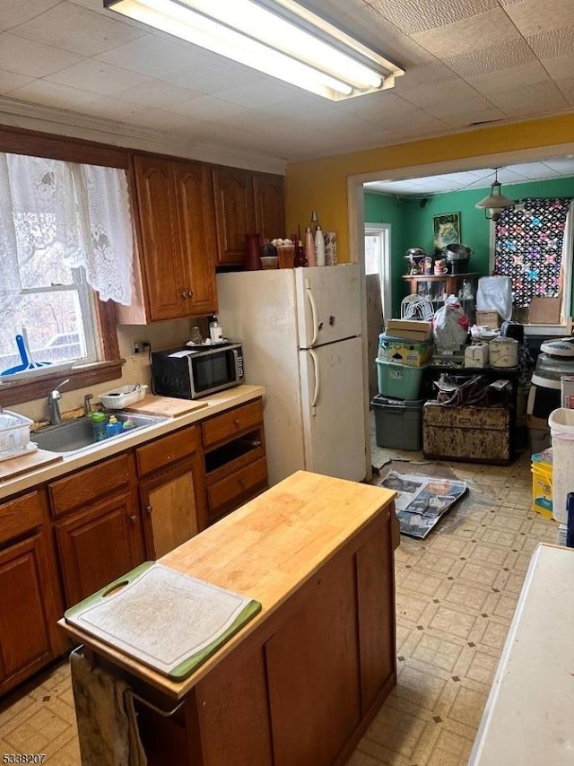 kitchen with white refrigerator and sink