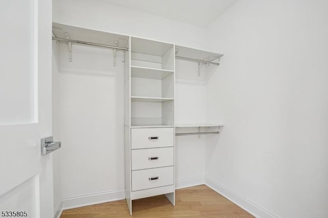 walk in closet with light wood-type flooring