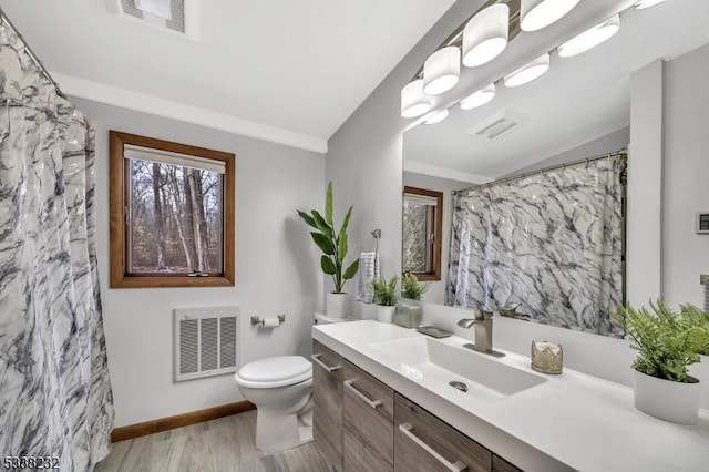 bathroom with vanity, wood-type flooring, and toilet