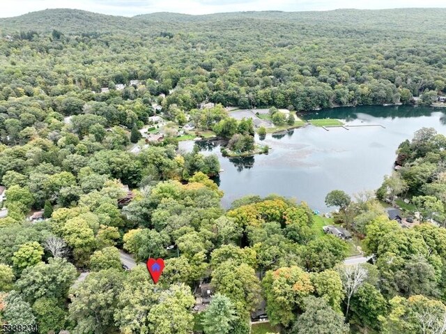 aerial view with a water view and a wooded view