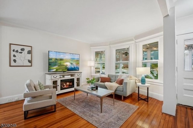 living room featuring a glass covered fireplace, baseboards, and wood-type flooring