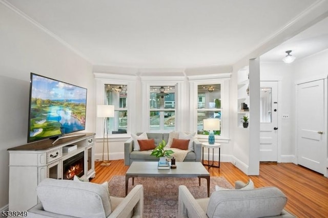 living room featuring baseboards, crown molding, and light wood finished floors