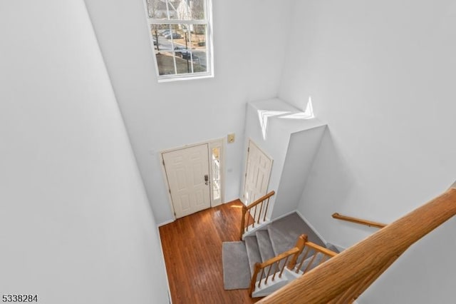 foyer entrance featuring hardwood / wood-style flooring