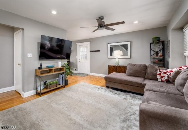 living room with ceiling fan and wood-type flooring