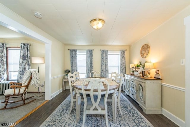 dining space featuring dark hardwood / wood-style floors and radiator