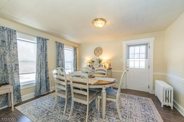 dining room featuring a healthy amount of sunlight, radiator, and dark hardwood / wood-style flooring