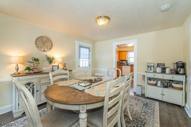 dining space featuring dark wood-type flooring