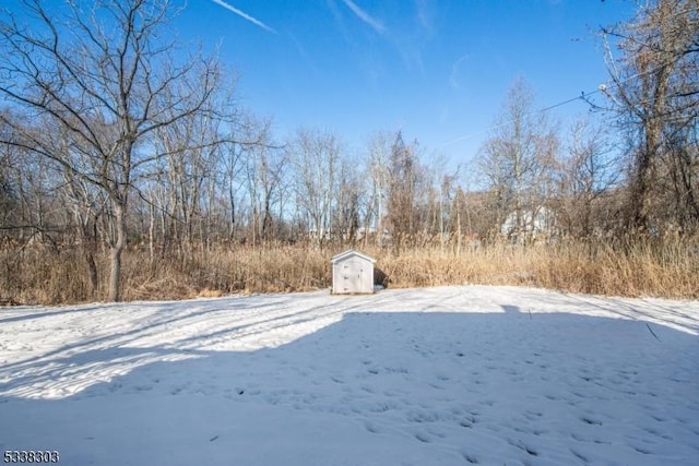 snowy yard featuring a storage unit