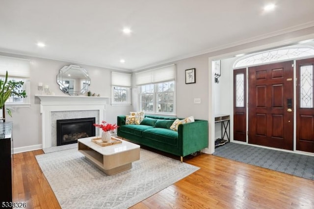 living room featuring a premium fireplace, plenty of natural light, and wood finished floors