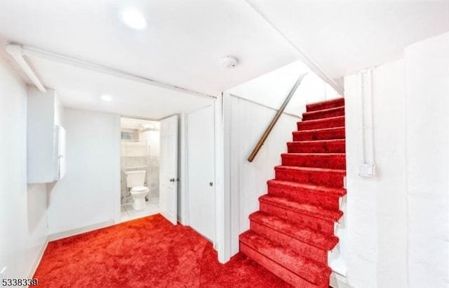 basement with carpet