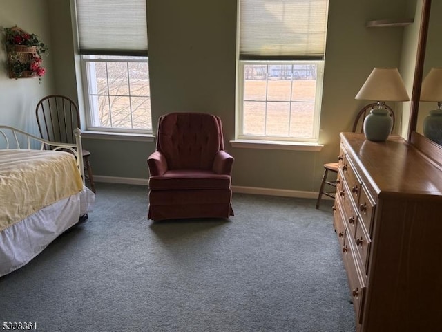 bedroom with carpet floors