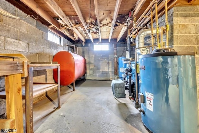 basement with water heater and heating fuel