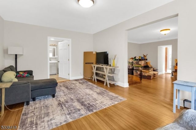 living room featuring wood-type flooring