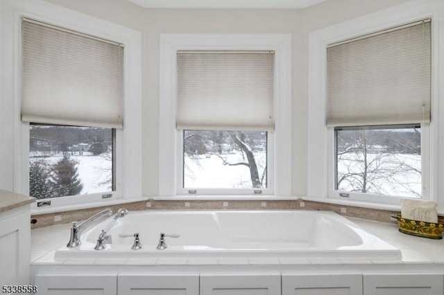 bathroom with plenty of natural light and a washtub