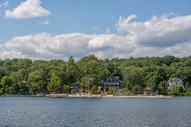 water view with a forest view