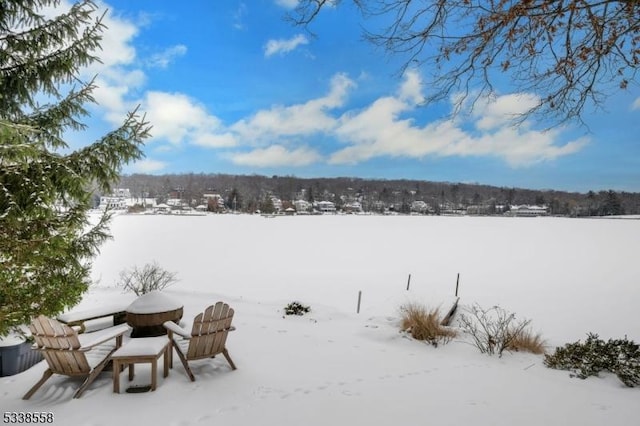 view of yard layered in snow