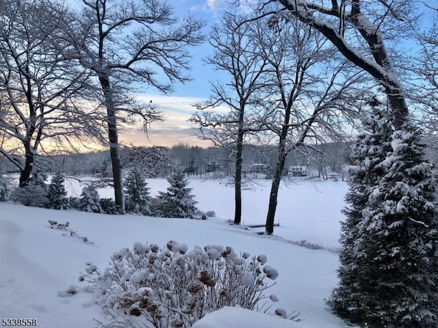 view of snowy yard