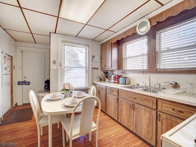 kitchen with a paneled ceiling, white fridge, and light wood-type flooring