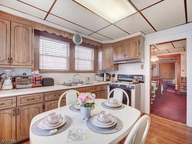 kitchen with a paneled ceiling, white gas range, light hardwood / wood-style floors, and sink