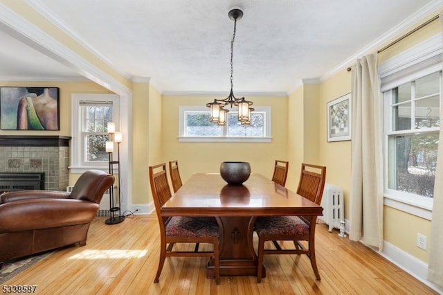 dining space with ornamental molding, a healthy amount of sunlight, light wood-type flooring, and radiator