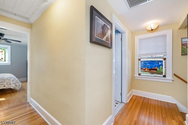 hall featuring a wealth of natural light, light wood-type flooring, visible vents, and baseboards