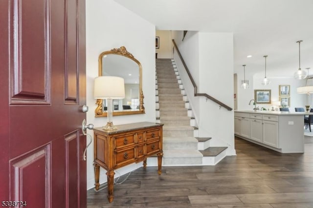 entryway with sink and dark hardwood / wood-style floors