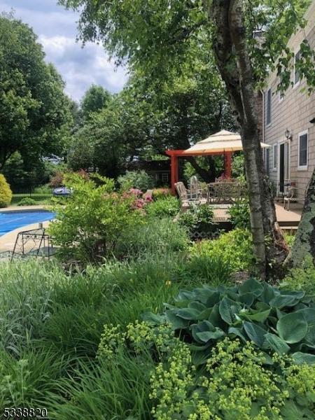 view of yard with a patio area and an outdoor pool