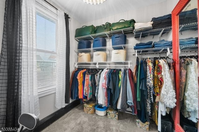 walk in closet with carpet