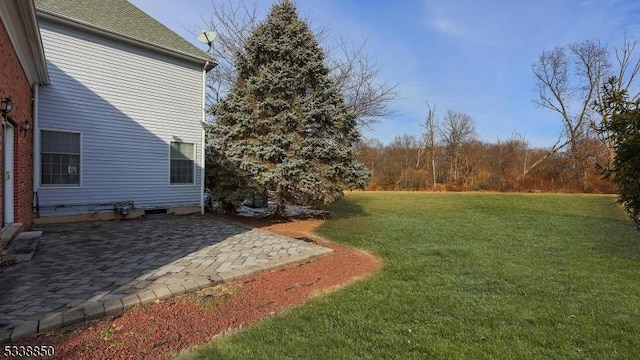 view of yard featuring a patio