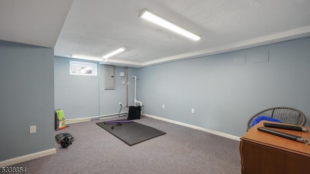 exercise area with carpet floors, electric panel, and baseboards