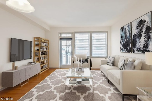 living room with hardwood / wood-style floors